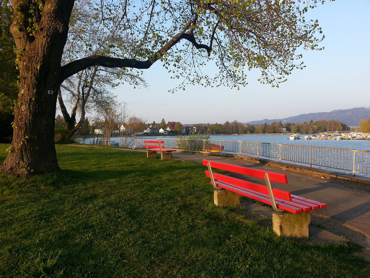 记者：谢什科与多名曼联球员聊过，他们认为其适合阿莫林体系