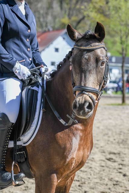 在重建之路 在重建之路