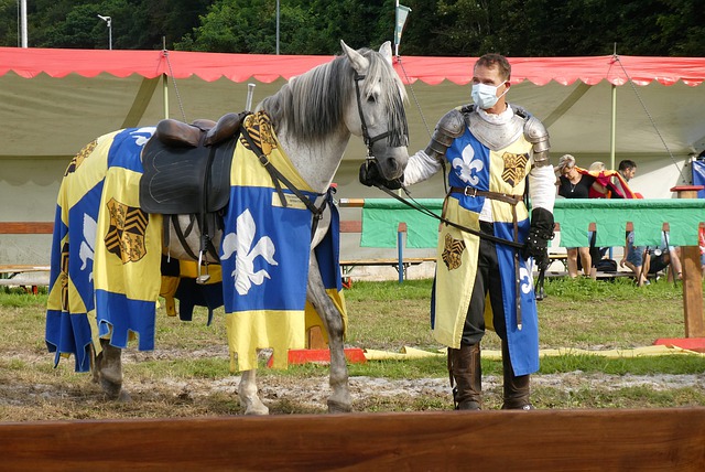 他們在首回 他們在首回