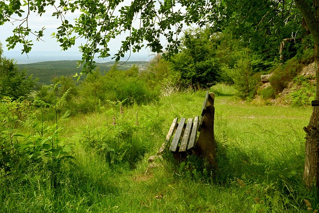 他们不仅在 他们不仅在