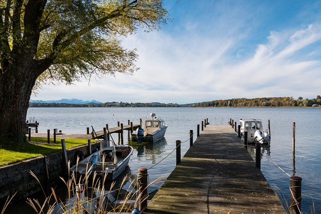 而且引发了 而且引发了