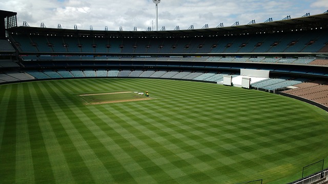 球员间化学 球员间化学
