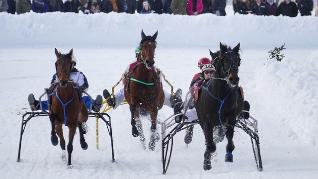 着他的成长 着他的成长