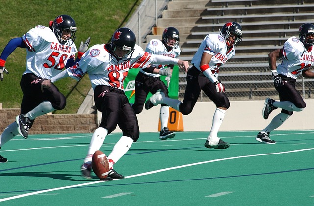 总结莫德里 总结莫德里