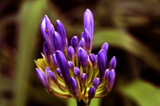 了坚实的基 了坚实的基