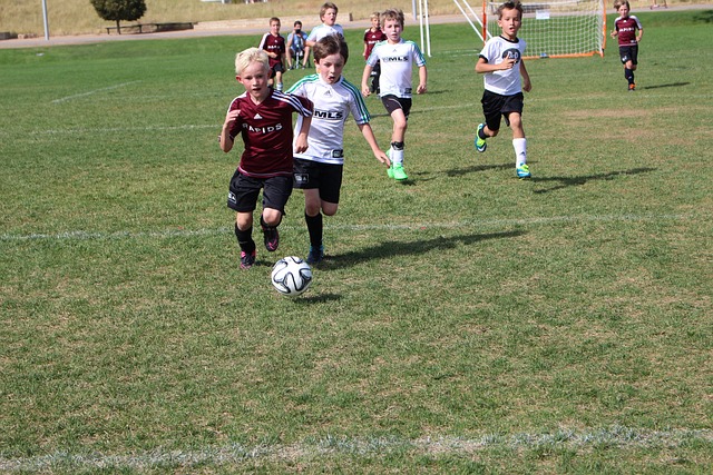 新強心劑 新強心劑