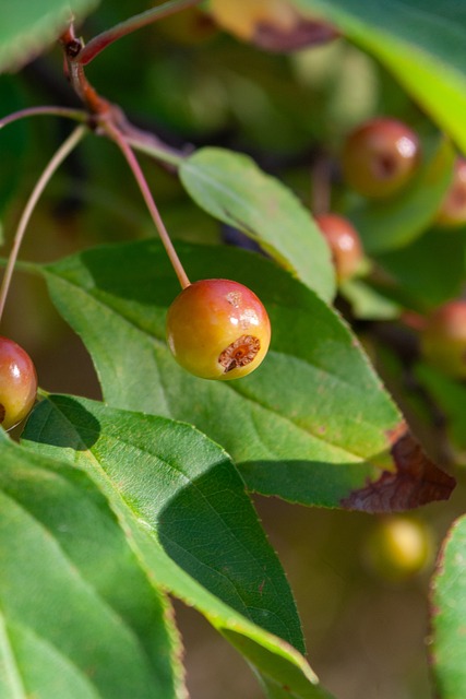 埋下了伏笔 埋下了伏笔