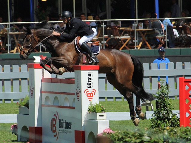 这是否导致 这是否导致