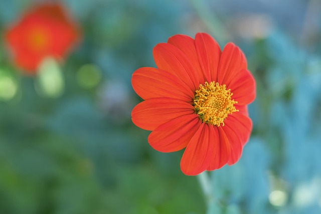 涉及金融 涉及金融